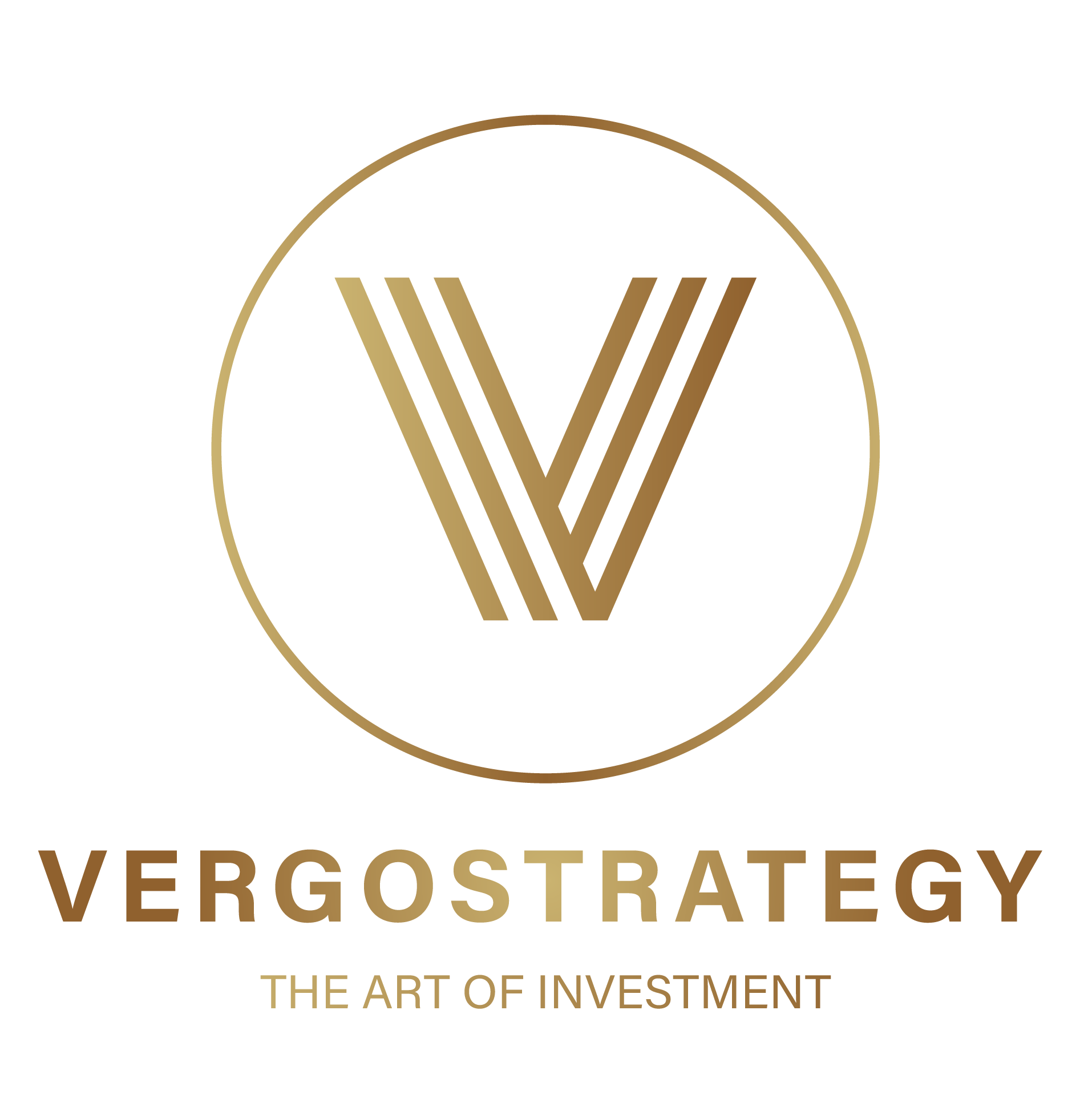 Vergo Strategy | The art of investment